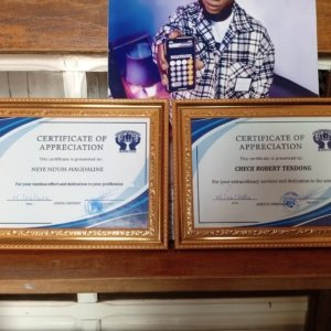 Certificates/Awards Fraiming